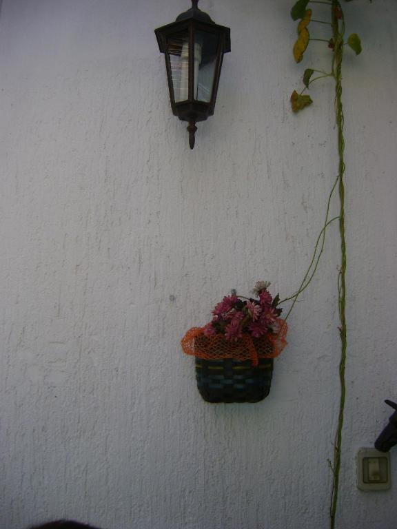 Guest house Marijana 2*