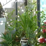 Guest House Marijana